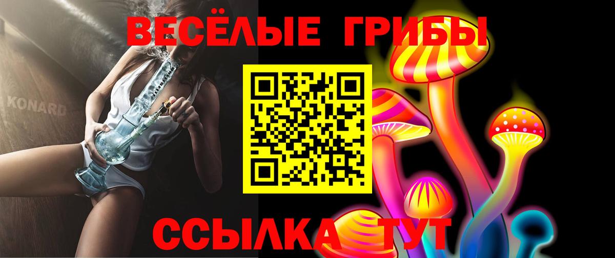 Псилоцибиновые грибы GOLDEN TEACHER  Вход с VPN  Владивосток 