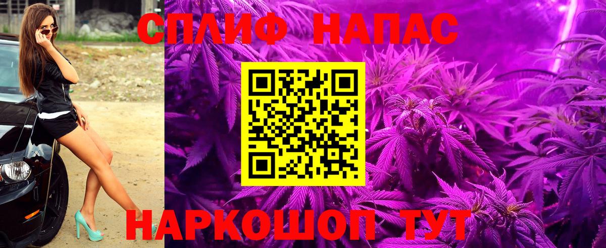 Каннабис OG Kush Владивосток